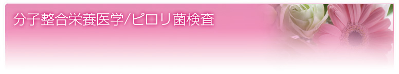 分子整合栄養医学/ピロリ菌検査